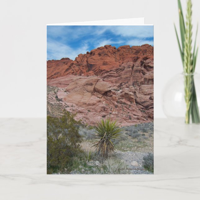 Schutzgebiet Red Rock Canyon Karte (Vorderseite)