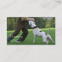 Schutzhund Amerikaner-Bulldogge