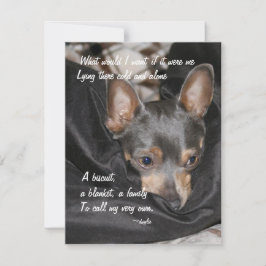 Schutzhund - Chihuahua Feiertagskarte