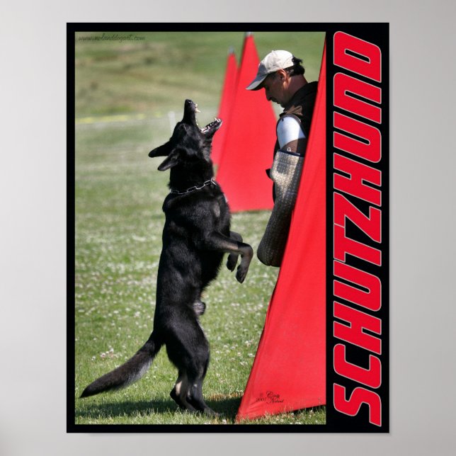 Schutzhund German Shepherd Dog Poster (Vorne)