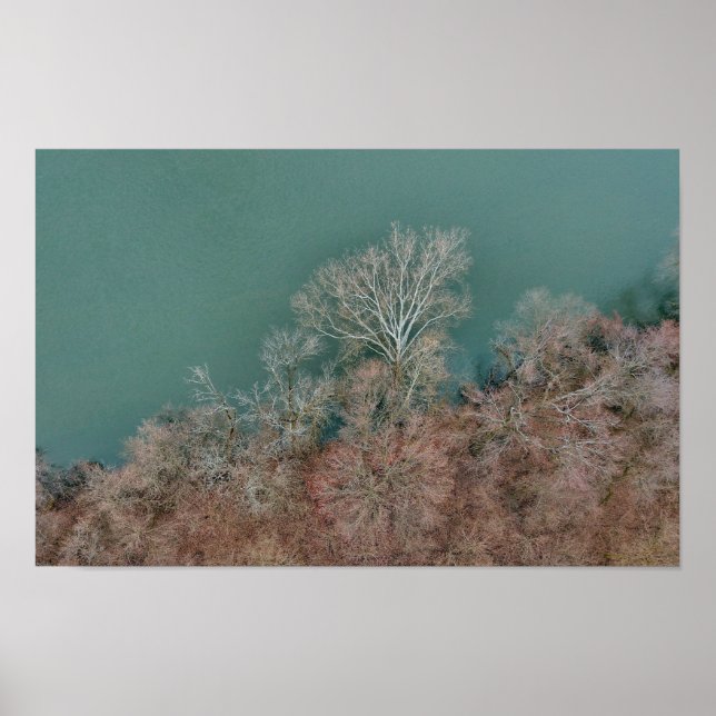 Schuylkill River Trees Sanatoga Poster (Vorne)