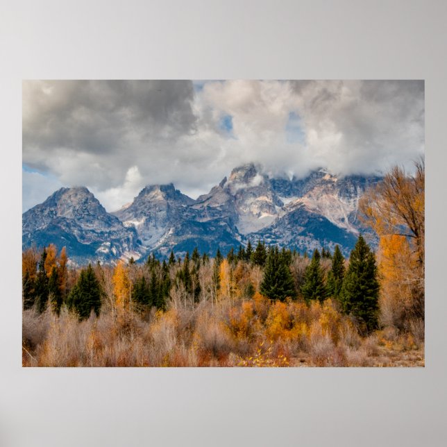 Schwabacher Landing Grand Teton Nationalpark Poster (Vorne)