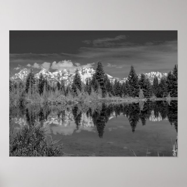 Schwabacher Landing Poster (Vorne)