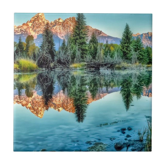 Schwabachers Landung und Biber-Teich Fliese (Vorderseite)