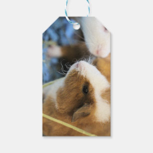 schwach geschenkanhänger