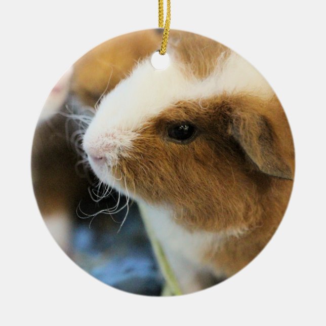 schwach keramik ornament (Vorne)