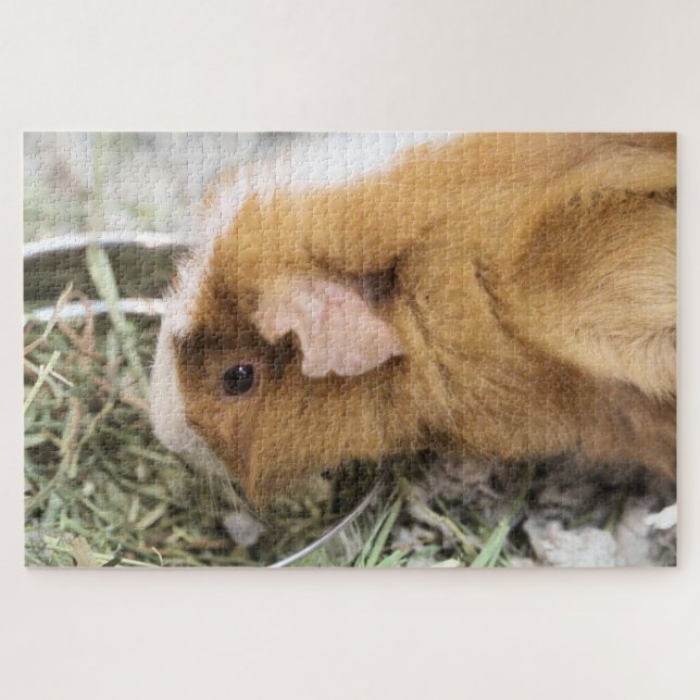 schwach puzzle (Horizontal)