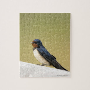 Schwalbe auf einer hölzernen Leiste Puzzle