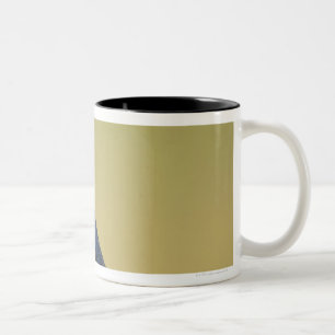 Schwalbe auf einer hölzernen Leiste Zweifarbige Tasse