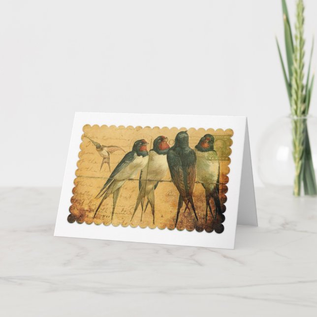 Schwalben, Geburtstag Karte (Vorderseite)