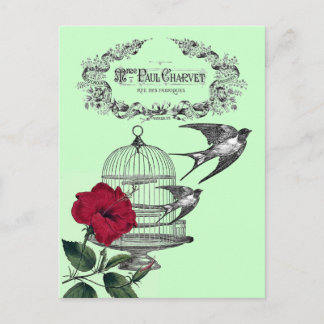 Schwalben in der Flugroute Postkarte