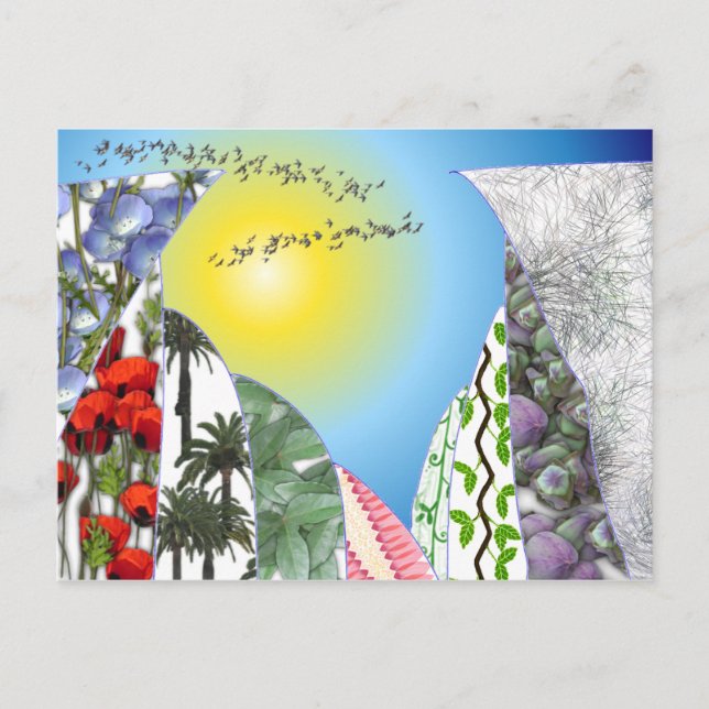 Schwalben Postkarte (Vorderseite)