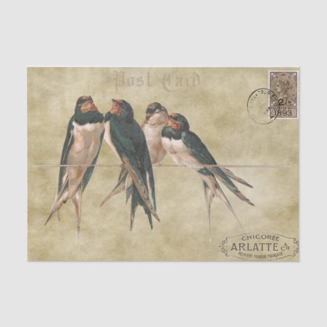 Schwalben Postkarte Seidenpapier (Vorderseite)