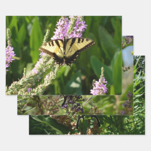 Schwalbenschwanz auf violetten Wildblumen Geschenkpapier Set