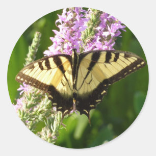 Schwalbenschwanz auf violetten Wildblumen Runder Aufkleber