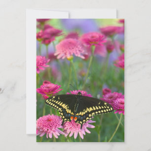 Schwalbenschwanz-Schmetterling auf dunkelrosa Blüt Dankeskarte