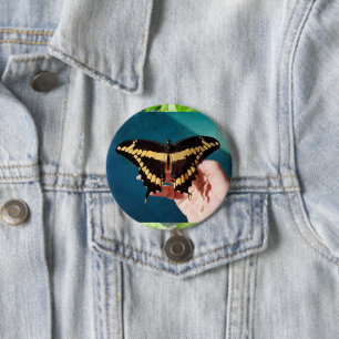 Schwalbenschwanz-Schmetterling Button