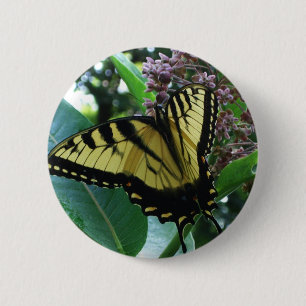 Schwalbenschwanz Schmetterling I auf Seidenpflanze Button