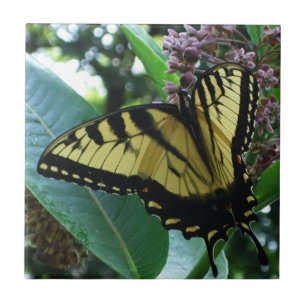 Schwalbenschwanz Schmetterling I auf Seidenpflanze Fliese