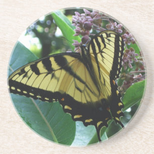Schwalbenschwanz Schmetterling I auf Seidenpflanze Getränkeuntersetzer