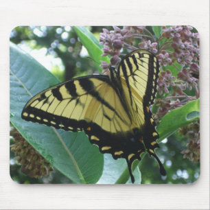Schwalbenschwanz Schmetterling I auf Seidenpflanze Mousepad