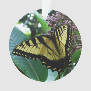 Schwalbenschwanz Schmetterling I auf Seidenpflanze Ornament