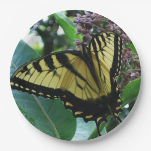 Schwalbenschwanz Schmetterling I auf Seidenpflanze Pappteller