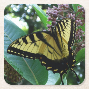 Schwalbenschwanz Schmetterling I auf Seidenpflanze Rechteckiger Pappuntersetzer