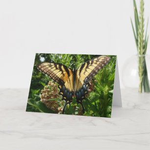 Schwalbenschwanz Schmetterling III Schönes Farbige Karte