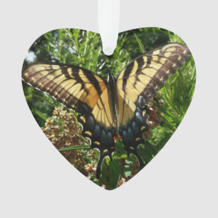 Schwalbenschwanz Schmetterling III Schönes Farbige Ornament