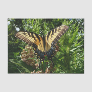 Schwalbenschwanz Schmetterling III Schönes Farbige Seidenpapier