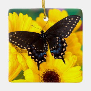 Schwalbenschwanz-Schmetterling Keramikornament