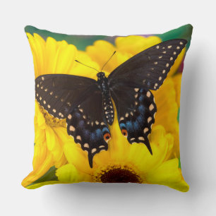 Schwalbenschwanz-Schmetterling Kissen