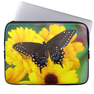 Schwalbenschwanz-Schmetterling Laptopschutzhülle