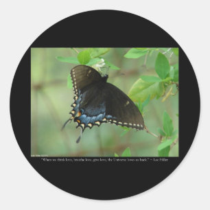 Schwalbenschwanz Schmetterling - Liebesgeschenke & Runder Aufkleber