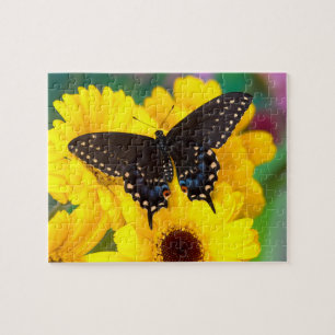 Schwalbenschwanz-Schmetterling Puzzle