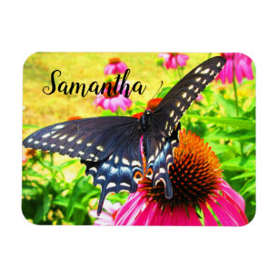 Schwalbenschwanz Schmetterling Rosa Echinacea Blum Magnet