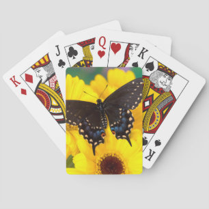 Schwalbenschwanz-Schmetterling Spielkarten