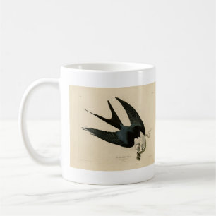 Schwalbenschwanzfalken - Audubons Vögel in Amerika Kaffeetasse