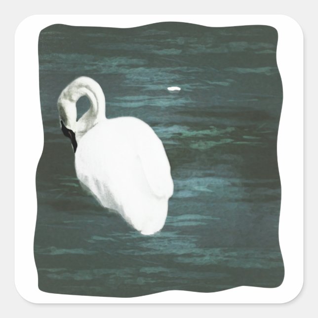 Schwan am Teich Quadratischer Aufkleber (Vorderseite)