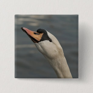 Schwan Button