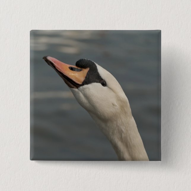 Schwan Button (Vorderseite)