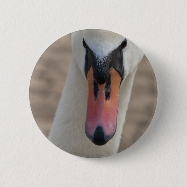 Schwan Button (Vorderseite)