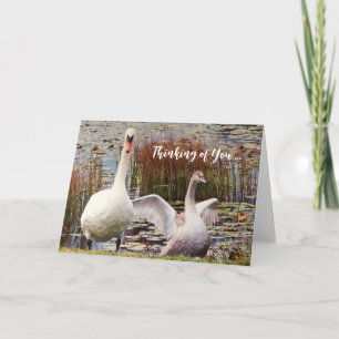 Schwan-Enten-Karte mit leerem Innenraum und 'Ich d Dankeskarte