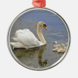Schwan-Familie Ornament Aus Metall