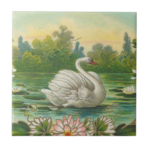 Schwan Fliese