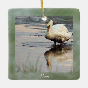 Schwan Foto Ornament 