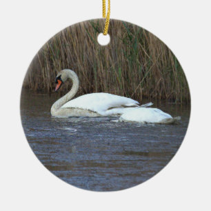 Schwan Foto Ornament