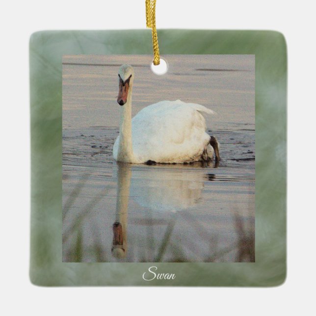 Schwan Foto Ornament  (Vorderseite)