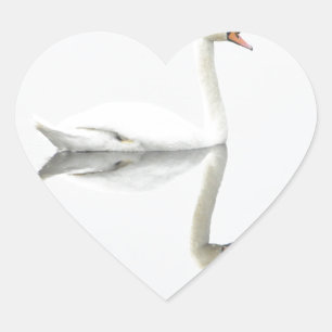 Schwan Herz-Aufkleber